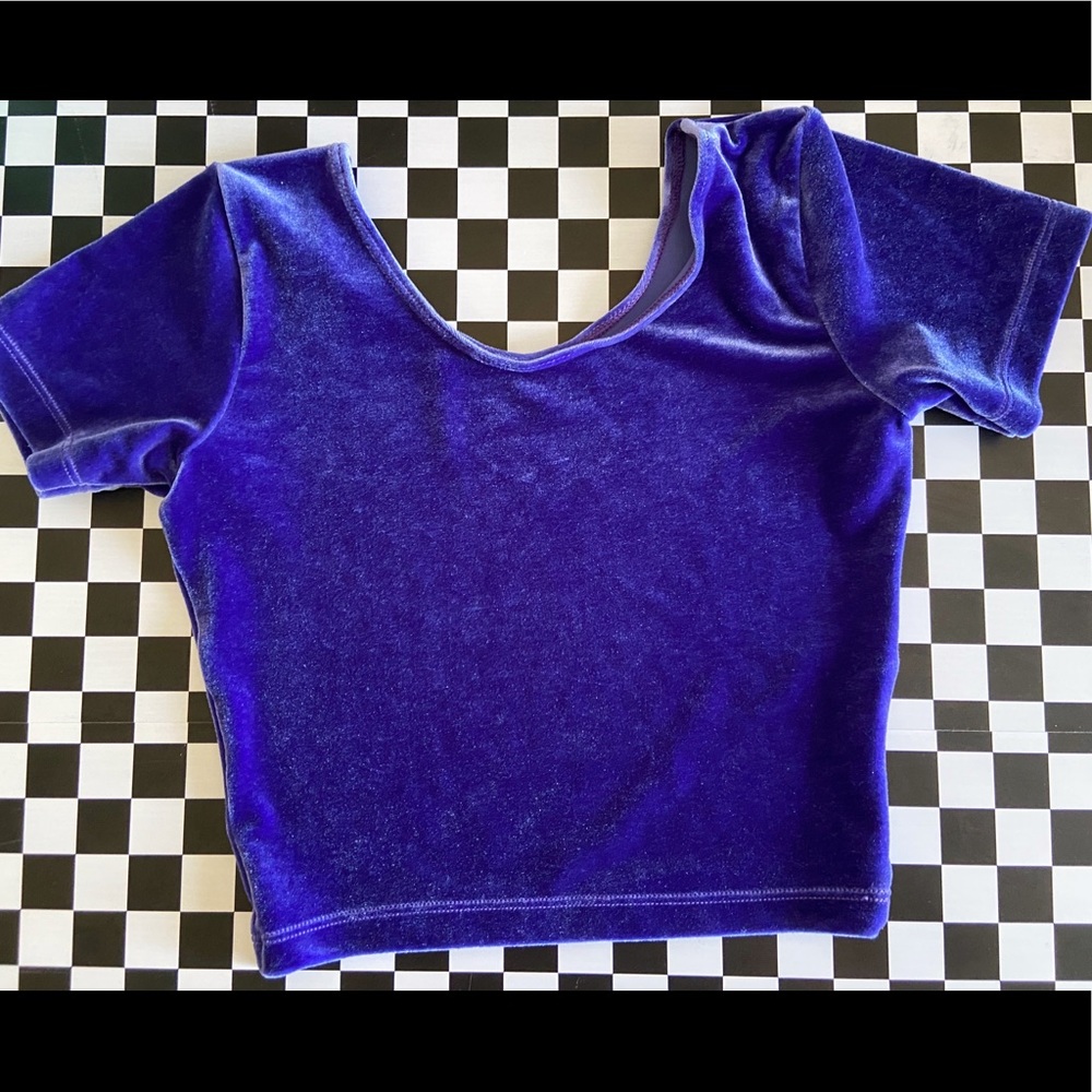 American Apparel Purple Velvet Crop Top